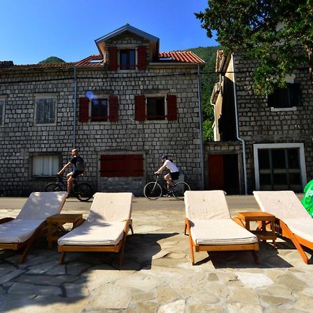 A Hundred Olive Trees Apartments Kotor Eksteriør bilde