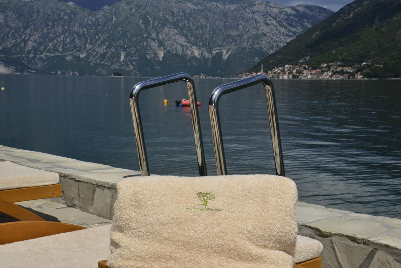 A Hundred Olive Trees Apartments Kotor Eksteriør bilde