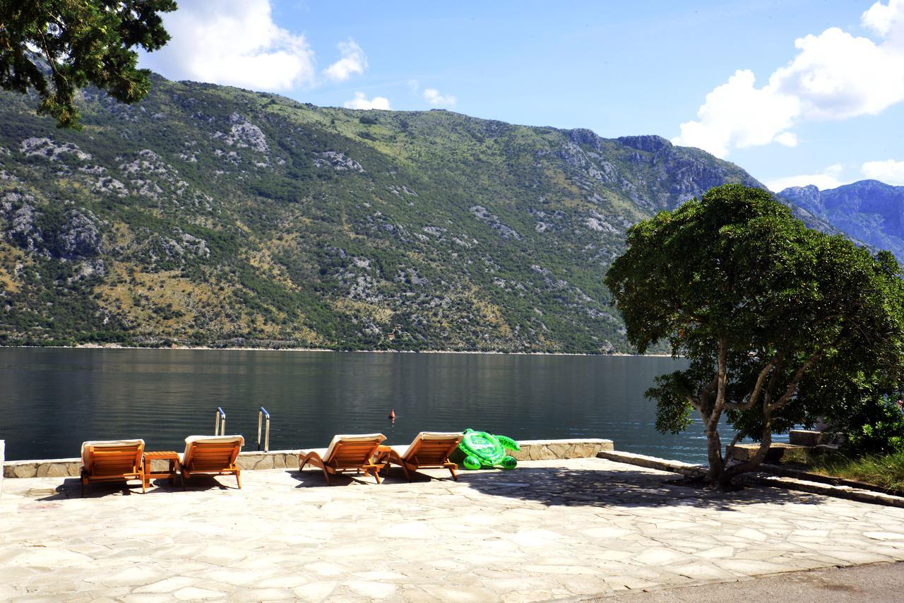 A Hundred Olive Trees Apartments Kotor Eksteriør bilde