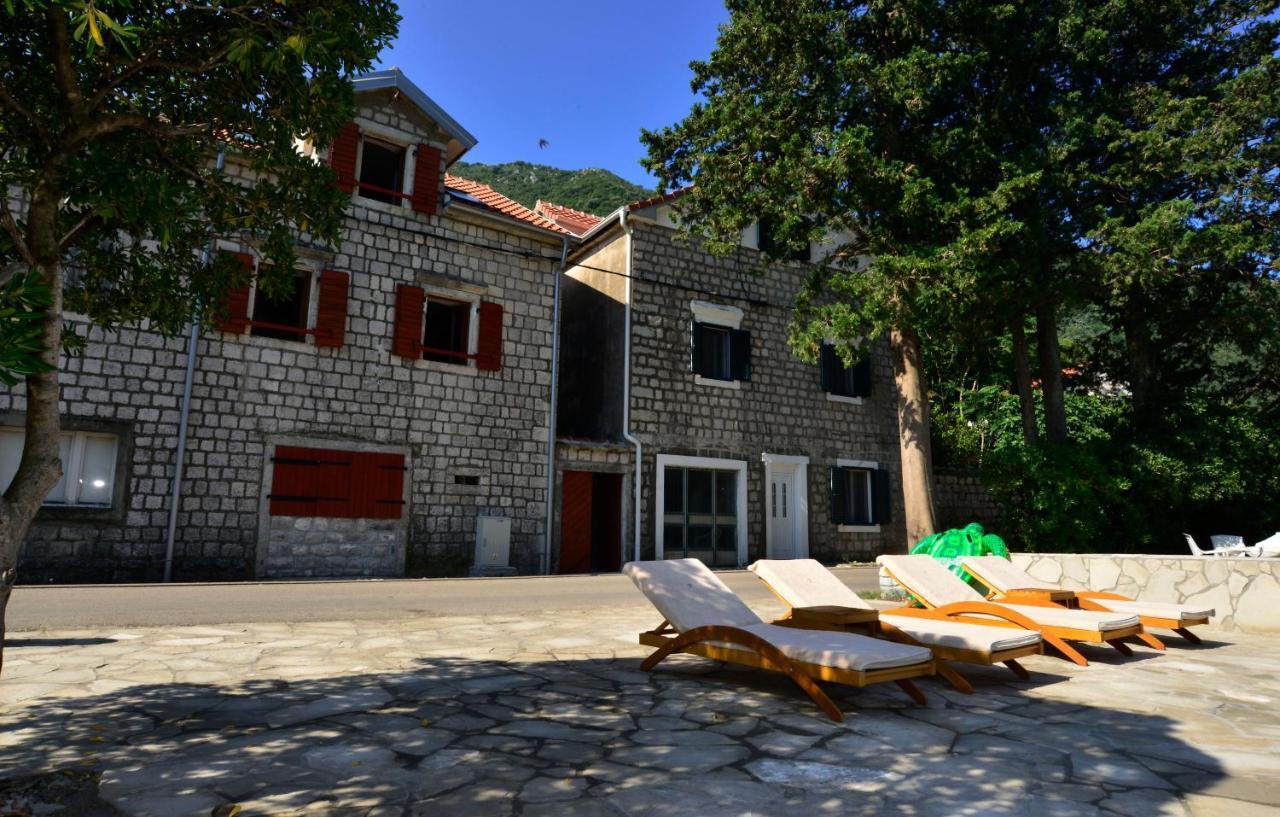 A Hundred Olive Trees Apartments Kotor Eksteriør bilde