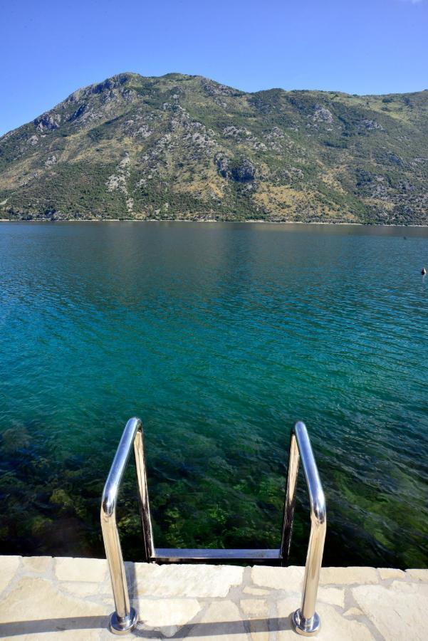 A Hundred Olive Trees Apartments Kotor Eksteriør bilde
