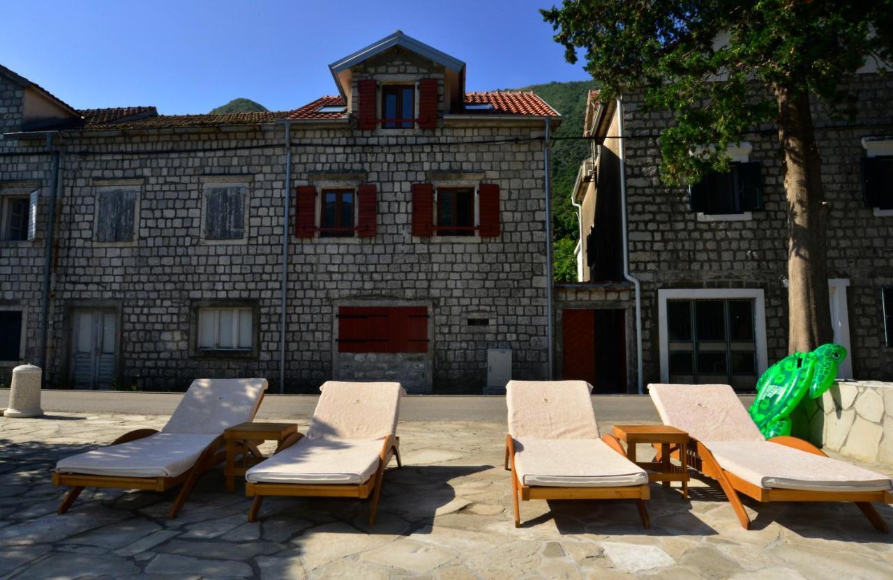 A Hundred Olive Trees Apartments Kotor Eksteriør bilde
