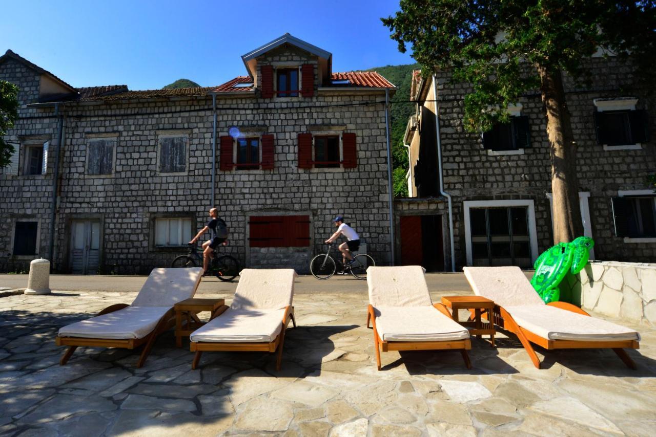A Hundred Olive Trees Apartments Kotor Eksteriør bilde