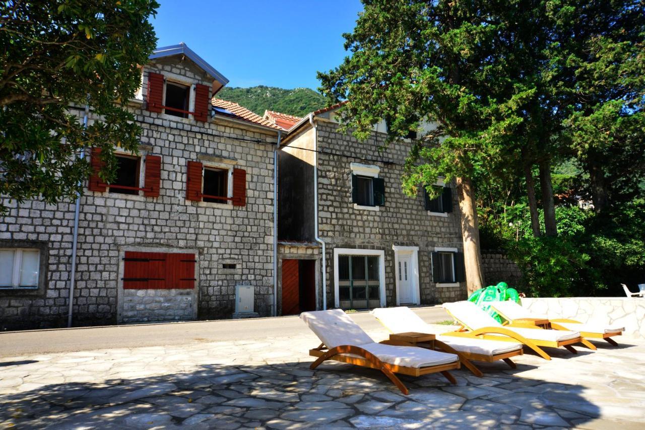 A Hundred Olive Trees Apartments Kotor Eksteriør bilde